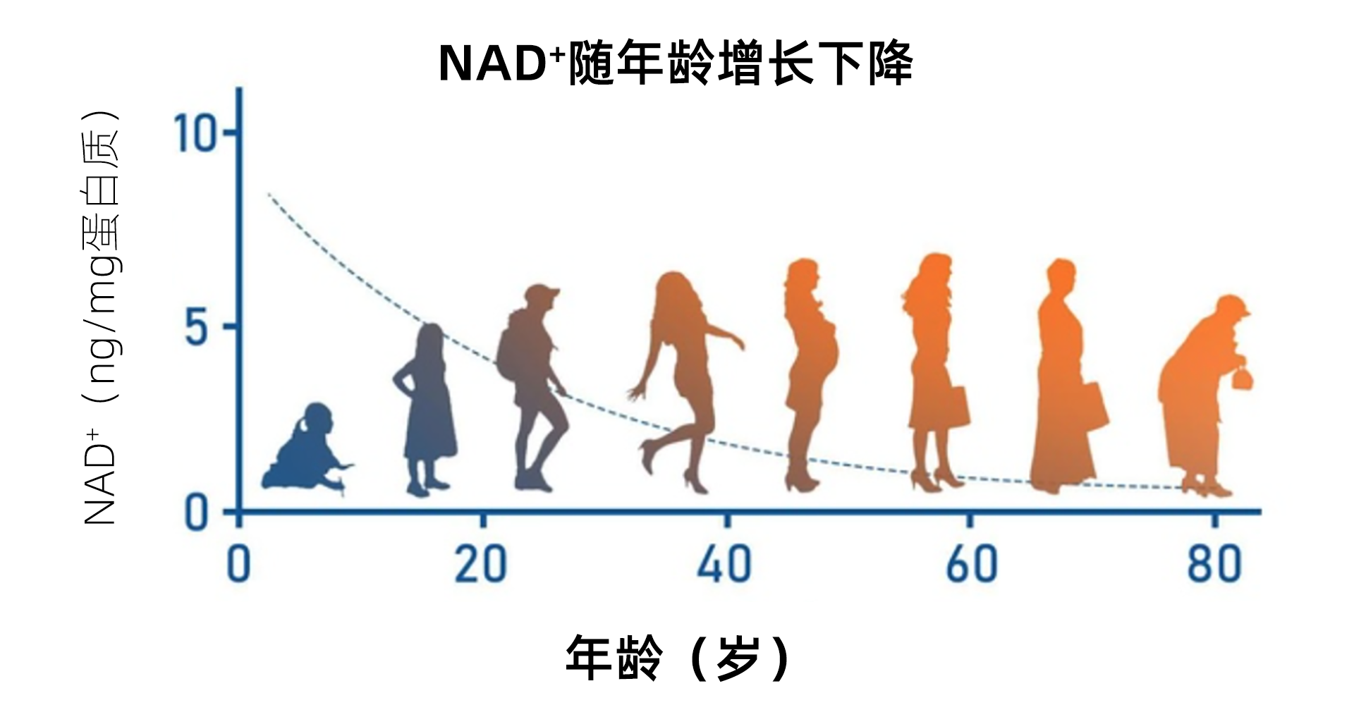 专家分享15.png