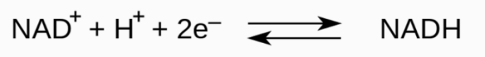 1752628961721702.png NAD的今生2.png