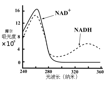 1752628979257696.png NAD的今生3.png