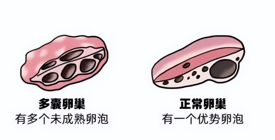 知识分享图片2.png