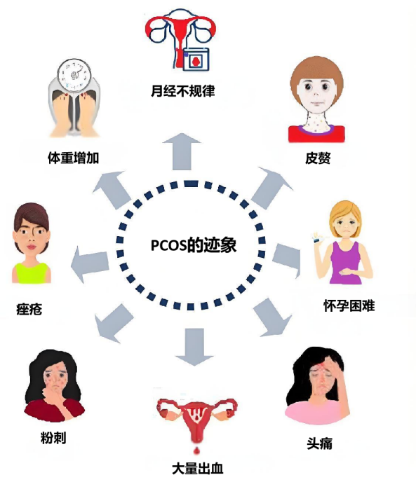 知识图片3.png
